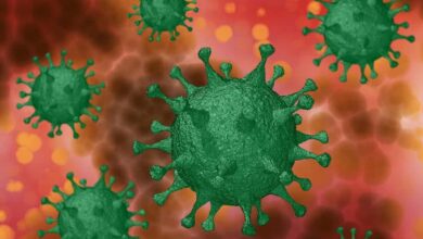 Coronavirus