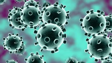 Coronavirus COVID-19