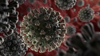 coronavirus covid-19