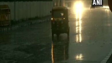 delhi rains