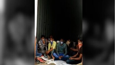 Escape-migrants