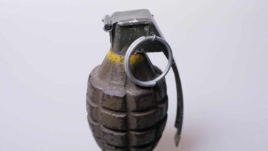 Hand grenade found in outer Delhi's Haiderpur