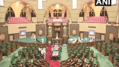 MP Assembly