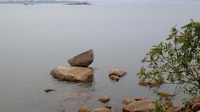 Osman Sagar