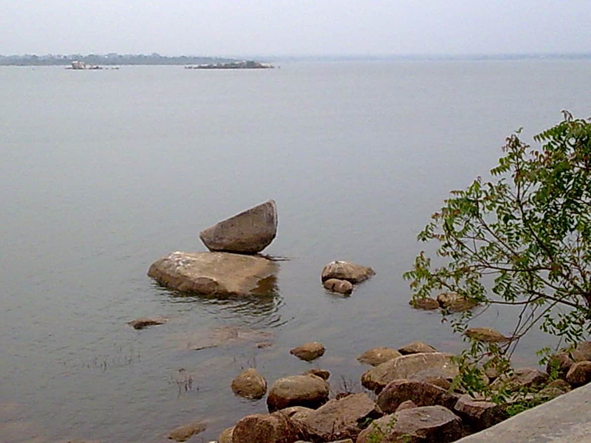 Osman Sagar
