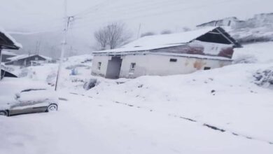 Shimla Snowfall