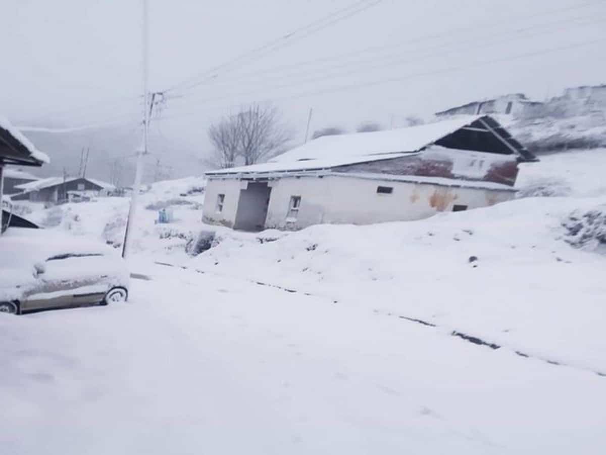 Shimla Snowfall