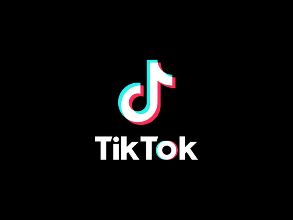 COVID-19 brought the best and worst out of TikTok