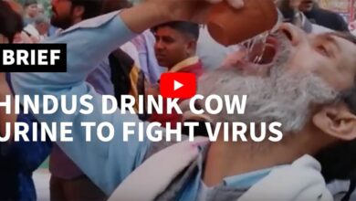 cow urine party