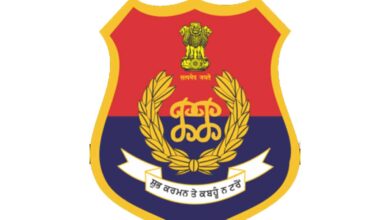 punjab police