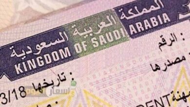 Saudi Arabia issued 800,000 work visas in 2021
