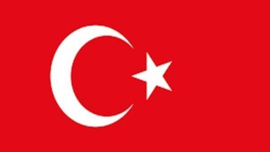 Turkey summons German envoy over detention of Turkish reporters