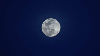Chandrayaan-2 detects presence of water molecules on moon