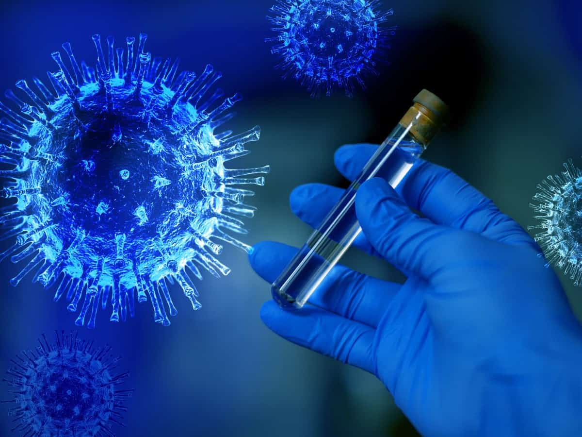 Swine Flu