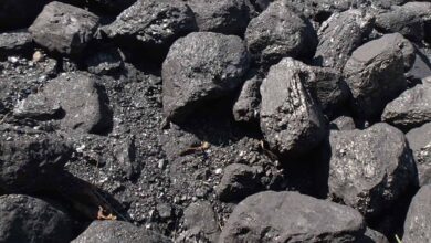 Coal India likely to post marginal production degrowth in FY21