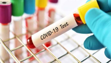 Hyderabad: CCMB to validate COVID-19 testing reagents and kits