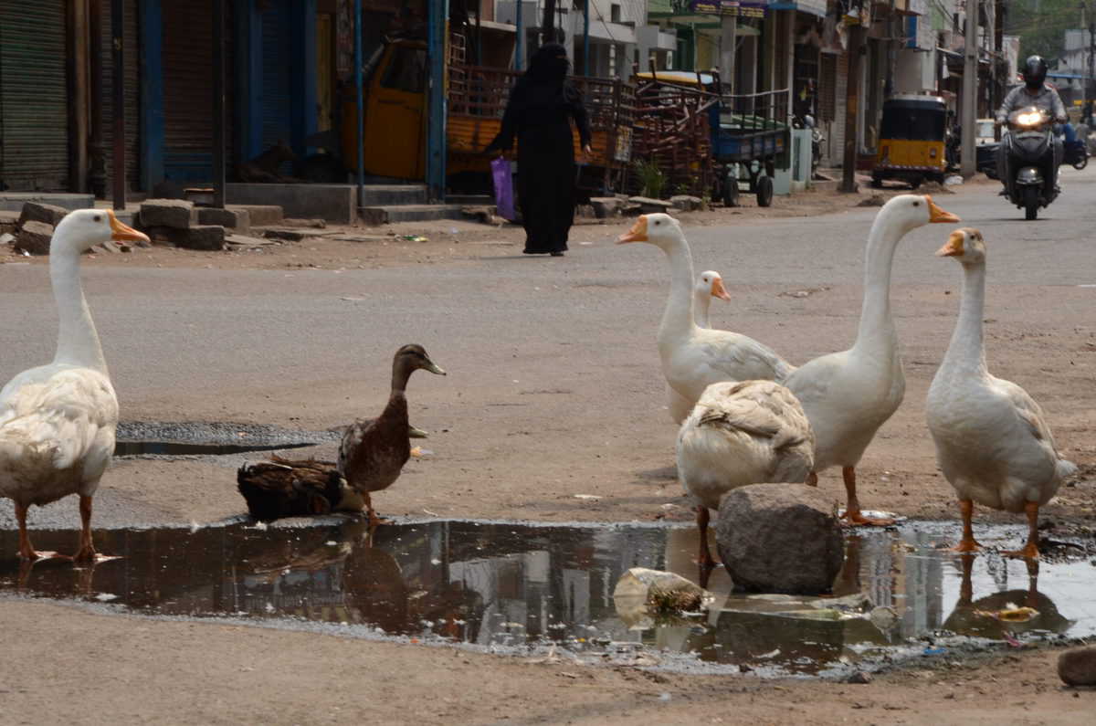 Photos: Lockdown in Hyderabad