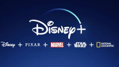 Disney+ reaches 116 mn subscribers: Report