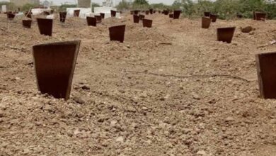 Telangana Wakf board gives free burial space