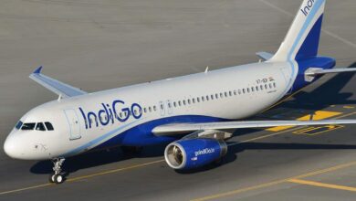 Dubai-bound Indigo aircraft suffers bird hit on runway, take-off cancelled