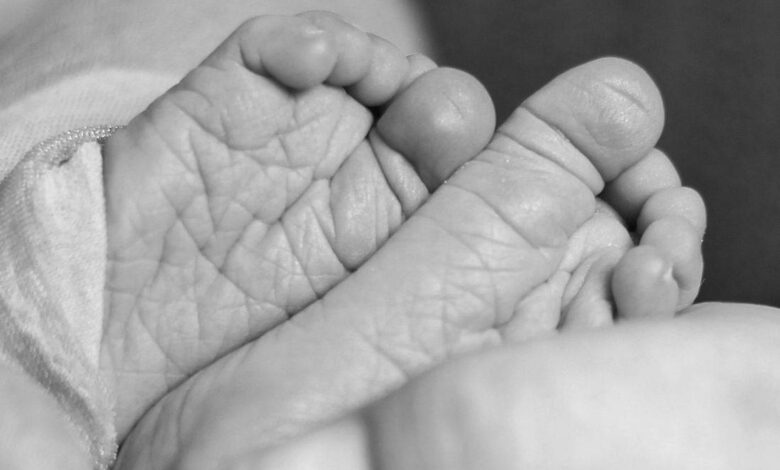 Haryana: Stray dog found eating newborn girl’s body in Ambala