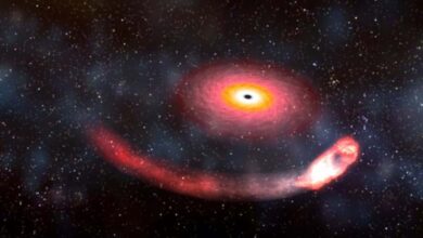 black hole