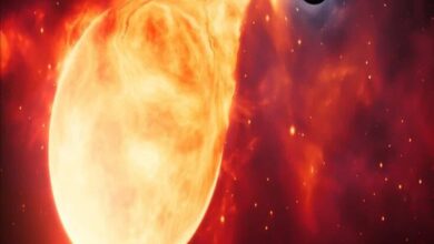 black hole