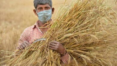 Telangana farmers can now grow only what the govt wants