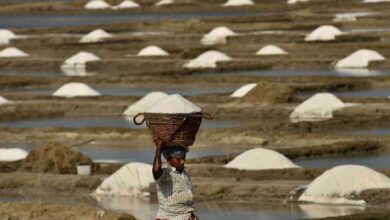 Photos: Third largest salt pans at Marakkanam during lockdown