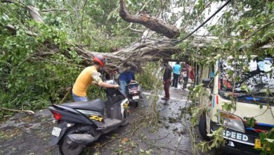 Cyclone Amphan leaves behind trail of destruction in WB, 12 dead