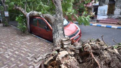 Photos: The aftermath of super cyclone Amphan in West Bengal