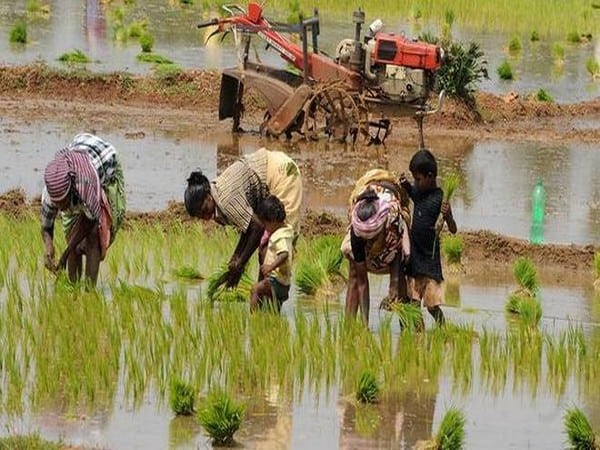TS geared up for post-coronavirus agri operations, for Kharif
