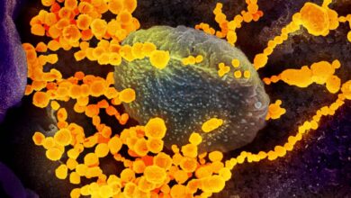 This is how COVID-19 can affect one’s body?