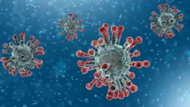 coronavirus covid-19