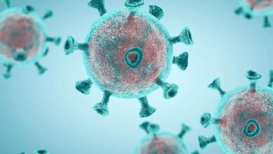 coronavirus covid-19