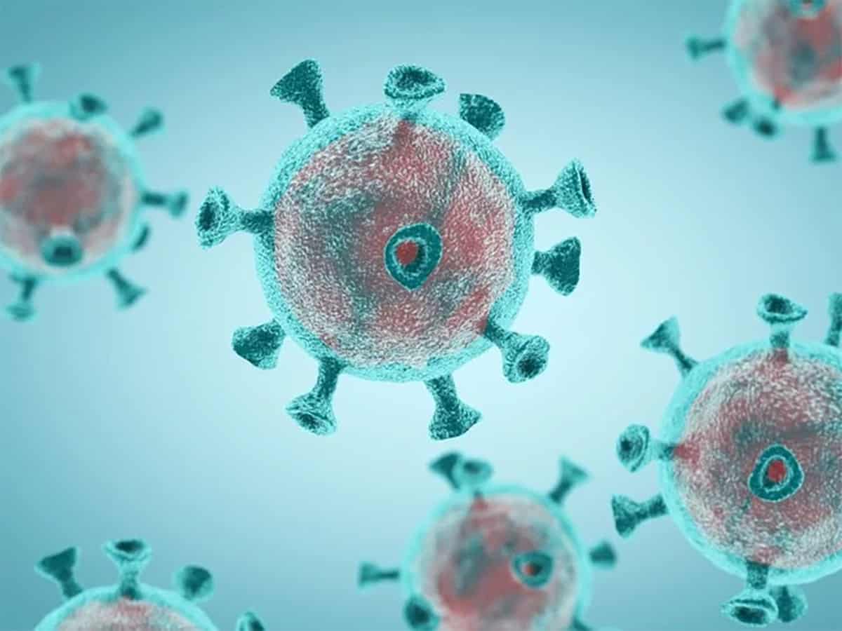 coronavirus covid-19