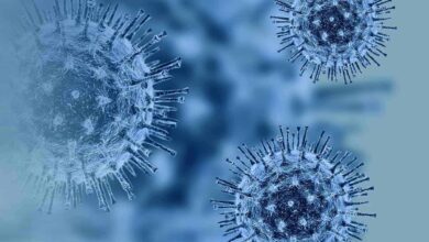 Global coronavirus cases