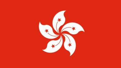 Voters choose new Hong Kong electors under pro-Beijing laws