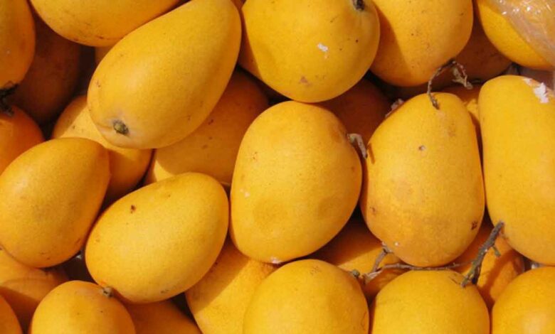 Jharkhand: Deadly clash over mangoes claims two lives