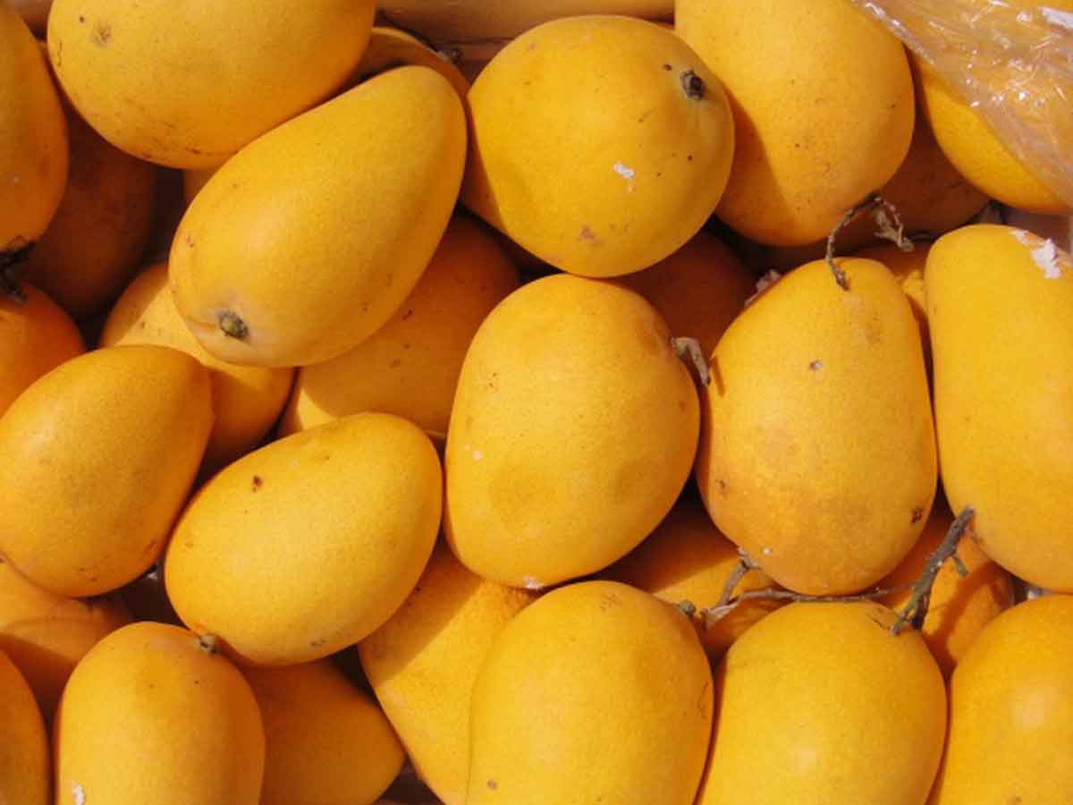 Jharkhand: Deadly clash over mangoes claims two lives