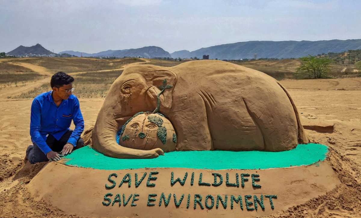 Photos: World Environment Day