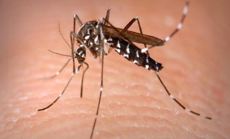 Religious leaders to help in checking dengue in Lucknow
