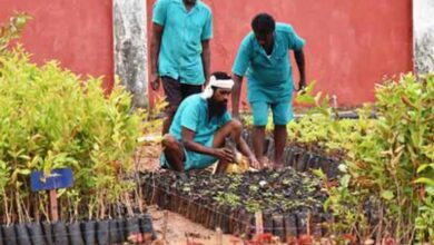 India's biggest plant nursery in jail takes root in Telangana