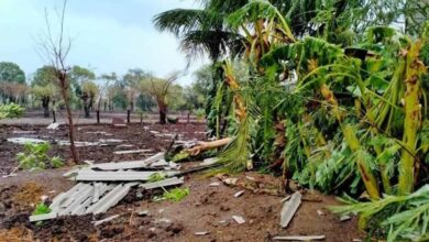 Video: Cyclone Nisarga in Maharashtra