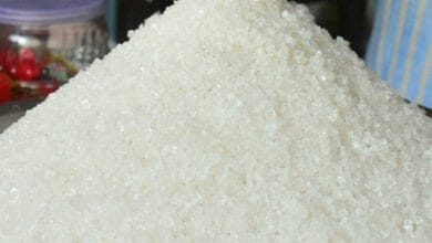sugar export