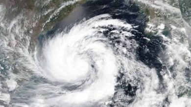 Cyclone 'Nisarga': Storm activity intensifies in Arabian Sea