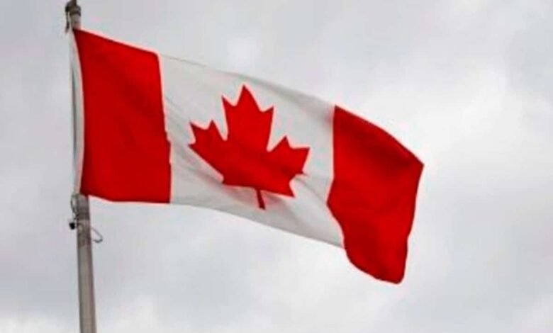Canada leverages financial intelligence to stop illegal wildlife trade