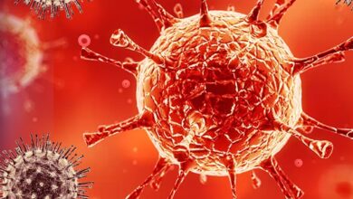 coronavirus cases