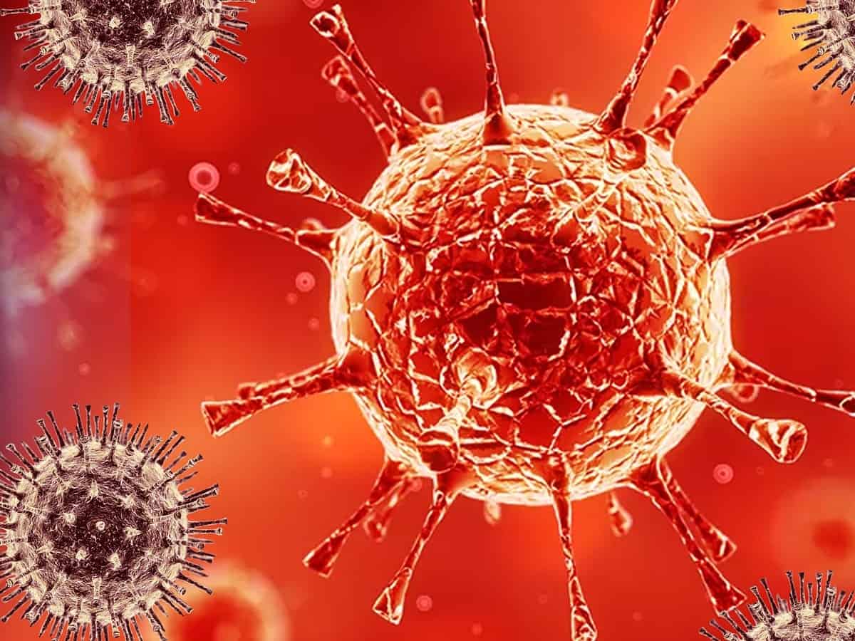 coronavirus cases