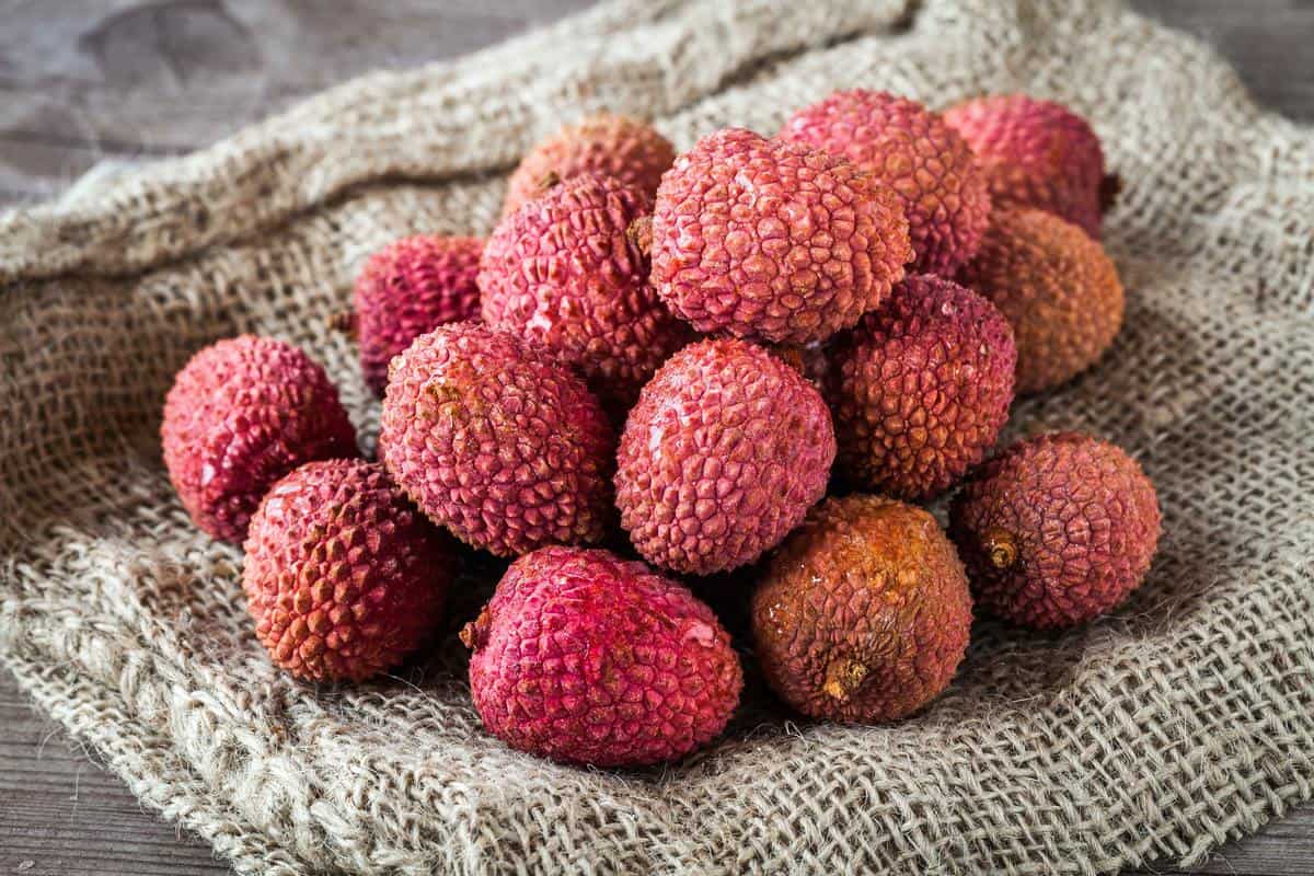 Litchi fruits
